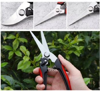 Tree Pruning Shears Sets & Floral Scissors