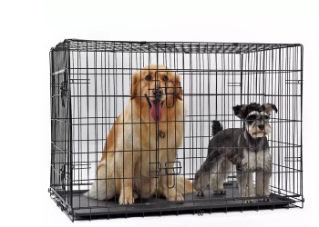 Household Pet Kennel